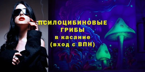 молекула духа Аркадак
