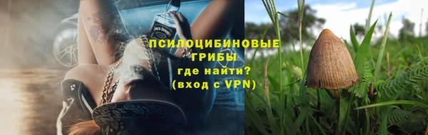 герыч Арсеньев