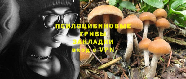 молекула духа Аркадак