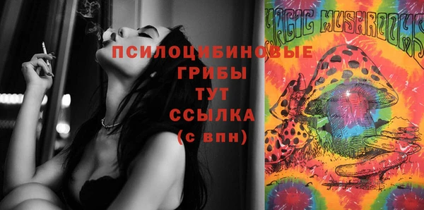 герыч Арсеньев