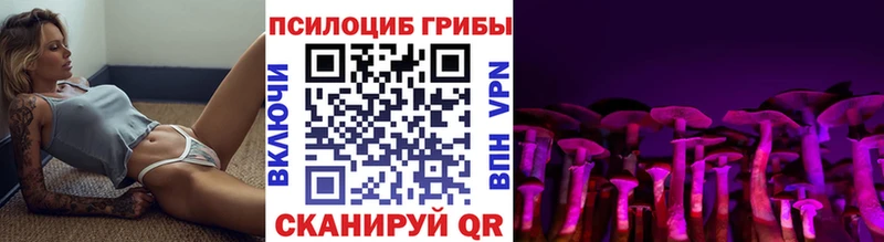 кракен tor  Глазов  Псилоцибиновые грибы прущие грибы  где купить наркоту 