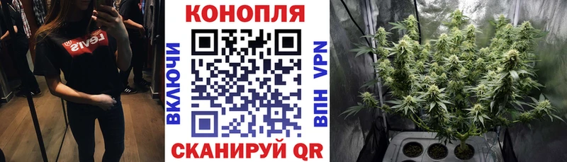 Конопля конопля наркота Глазов